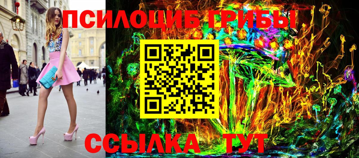 Псилоцибиновые грибы Cubensis Зеленогорск