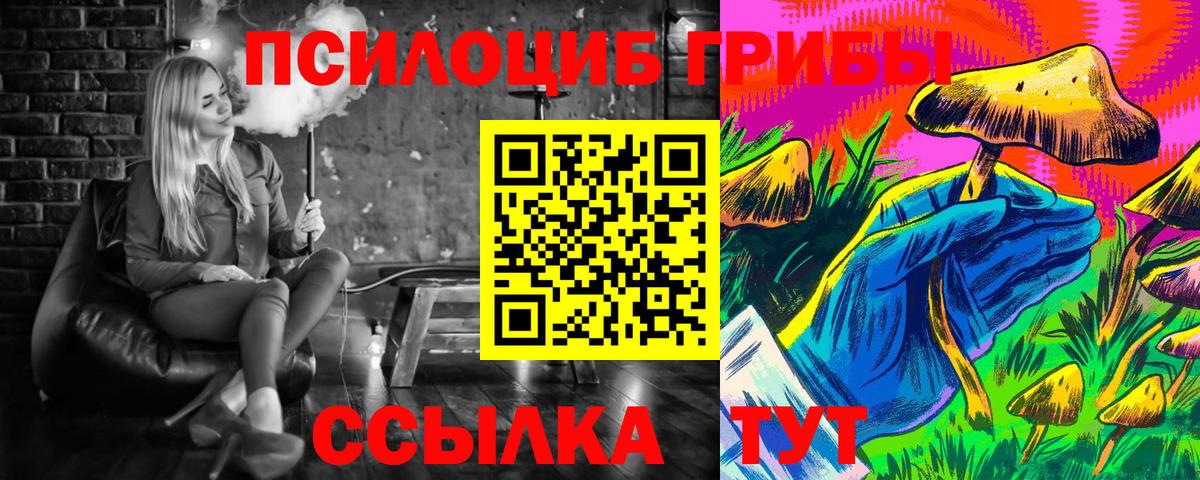 Галлюциногенные грибы Psilocybe  Вход с VPN  Зеленогорск 