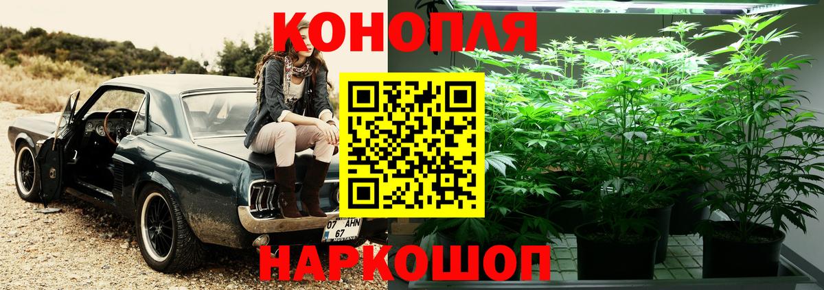 Шишки марихуана сатива  МАРИХУАНА SATIVA & INDICA  Вход с VPN  Зеленогорск 
